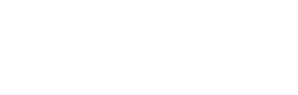 Berdemir logo