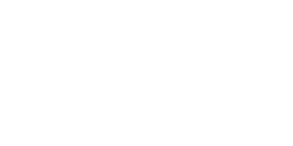 Fatih logo