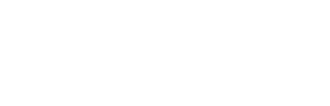 berdemir-logo-1