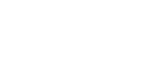 celik-logo